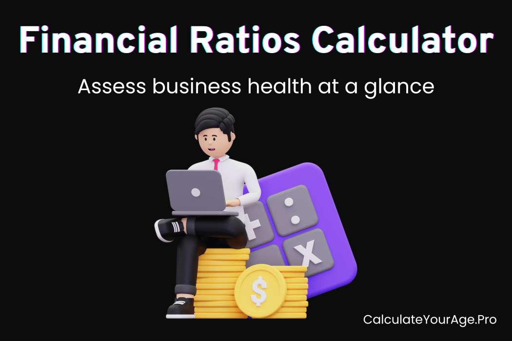 Financial Ratio Calculator