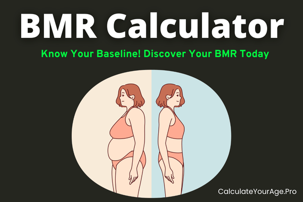 BMR Calculator